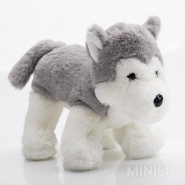 Husky Plush Toy(Grey) - MINISO Australia